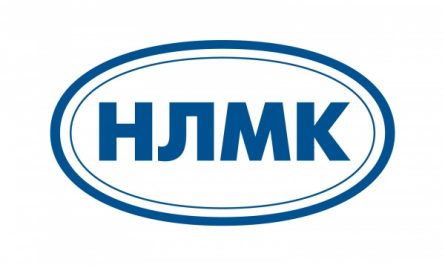 Группа НЛМК проводит вебинары для студентов МИСиС