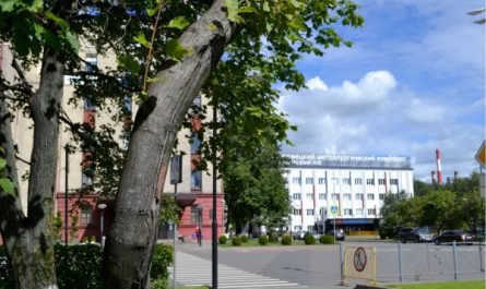 Северсталь привлекает ведущих ученых Вологодской области к проекту комплексного озеленения ЧерМК