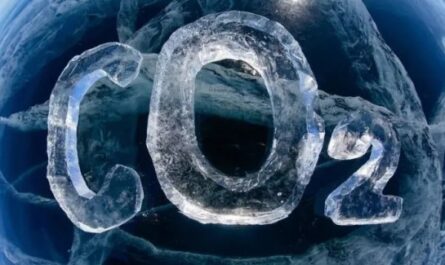 Интерпайп сократил выбросы CO2 на 61%: рекордный прогресс в декарбонизации