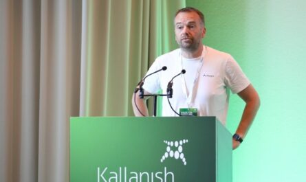 Stegra планирует начать работу в 2026 году
