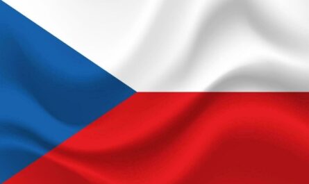 Импорт чешских полуфабрикатов резко вырос в первом полугодии