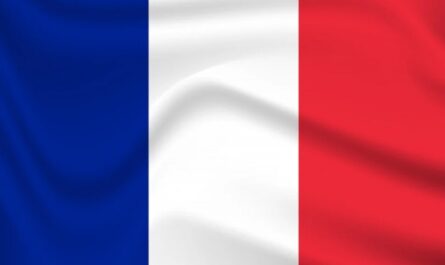 Национальная ассамблея Франции поддерживает национализацию ArcelorMittal France, бросая вызов правительству