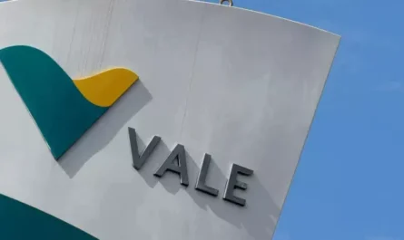 Vale делает ставку на зеленую сталь и привлекает инвесторов для проекта в Омане