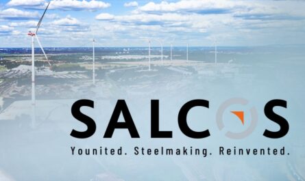 Проект SALCOS Зальцгиттера получит дополнительные средства