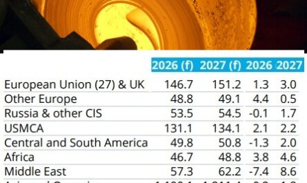 WSA ожидает улучшения общемирового спроса на сталь в 2026-27 гг.